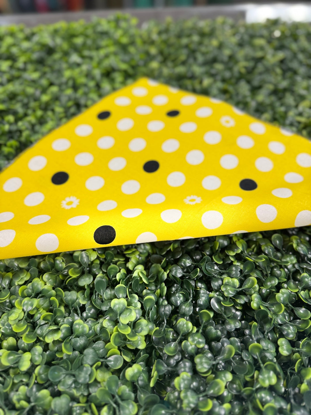 MGB Designs by Hamm Bandana Yellow with black and white polka dots