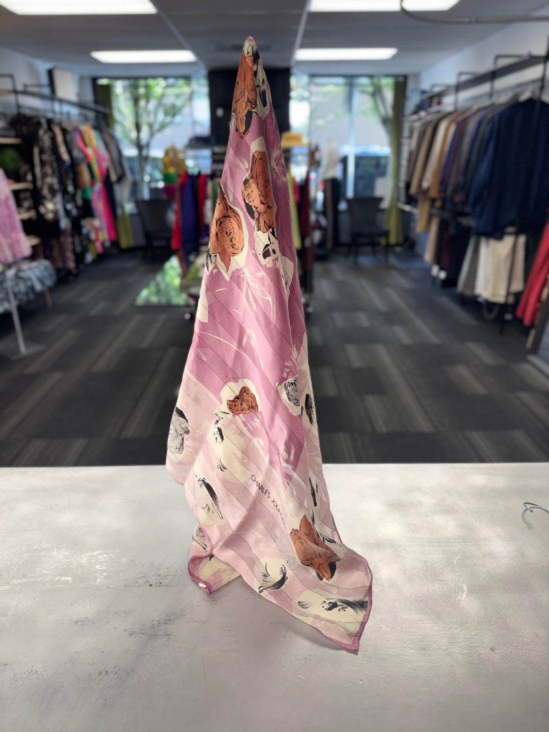Charles Jourdan Women's Scarf Pink with multicolor floral print