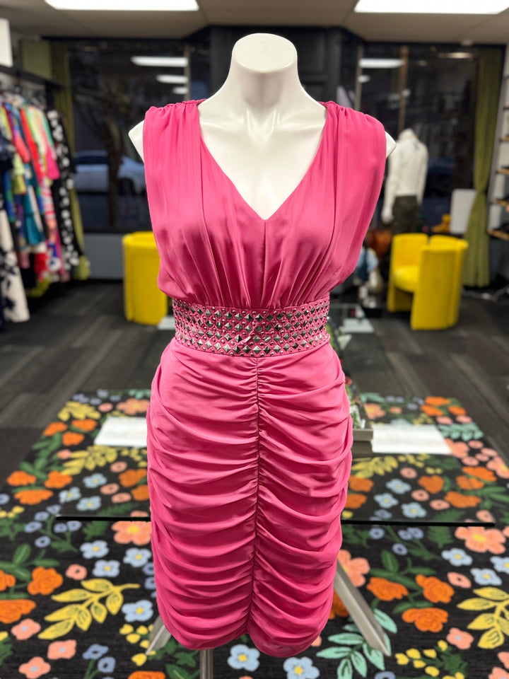 Astro Women's Dress 12 Pink