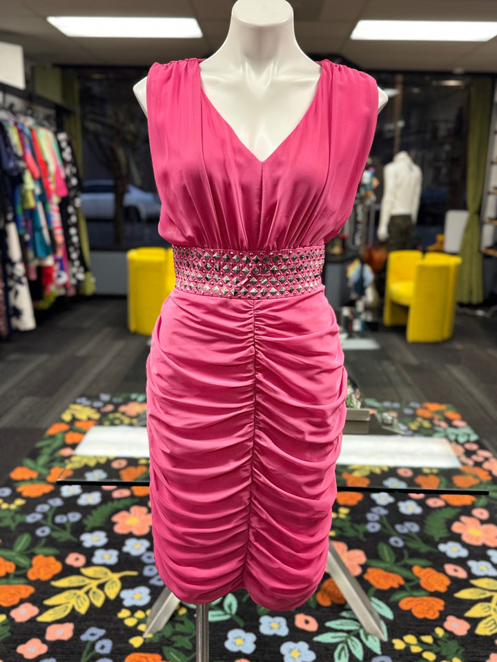 Astro Women's Dress 12 Pink