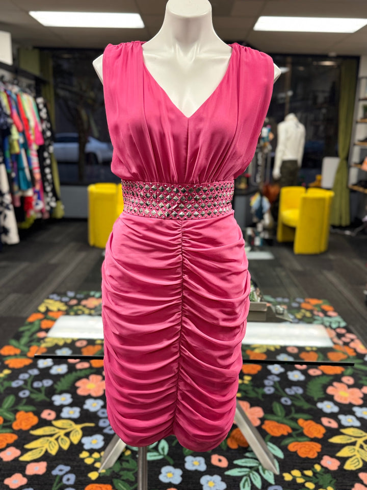 Astro Women's Dress 12 Pink