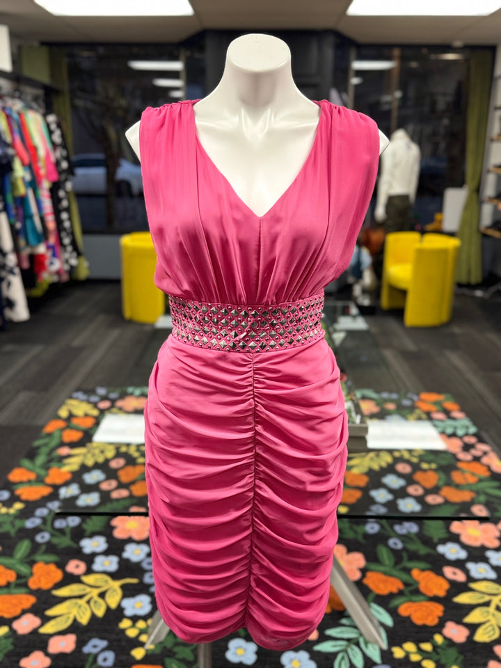 Astro Women's Dress 12 Pink