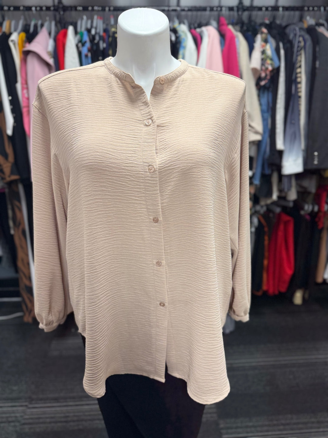 Max Studio Blouse 2X Beige